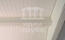 Проект в Дубцах