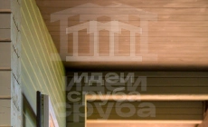 Проект в Дубцах